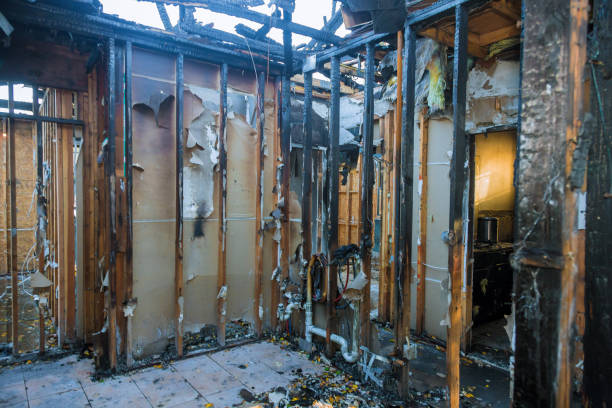 Professional Smoke Damage Removal technician working in Shafer, MN